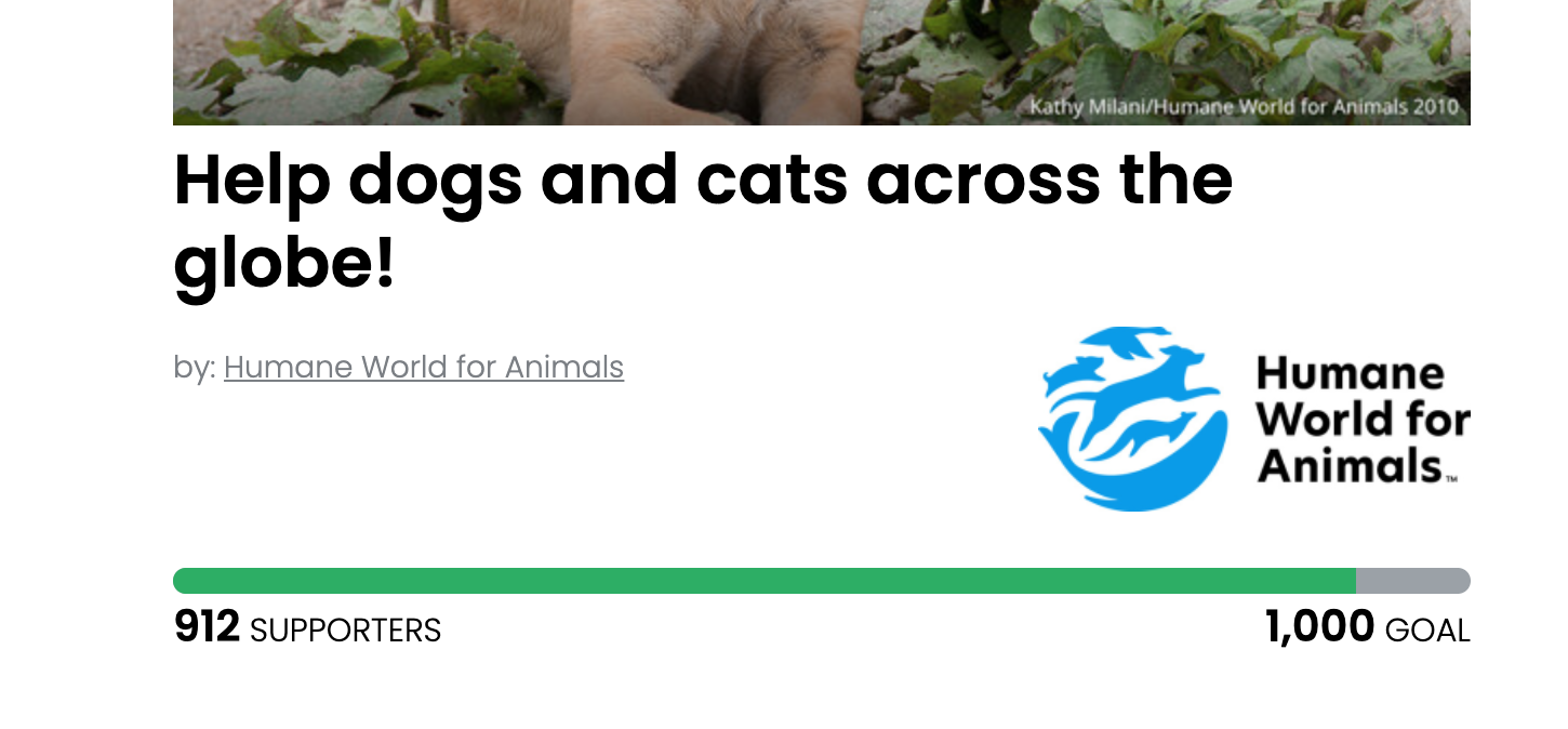 Animal Actions - Protect Dogs and Cats Worldwide