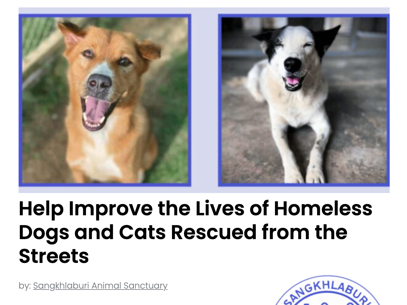 Animal Actions - Support This Animal Shelter in Thailand