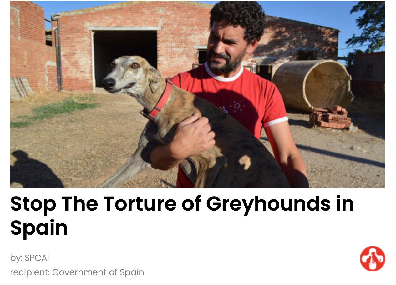 Animal Actions - Protect Greyhounds From Torture and Death