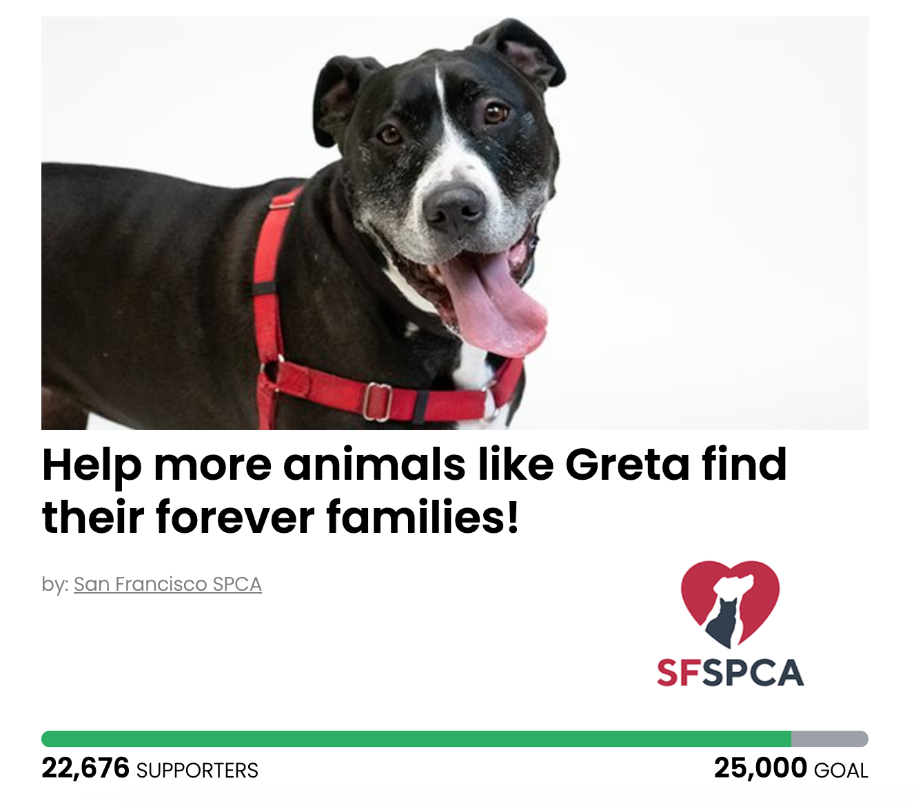 Animal Actions - Sign To Support the San Francisco SPCA