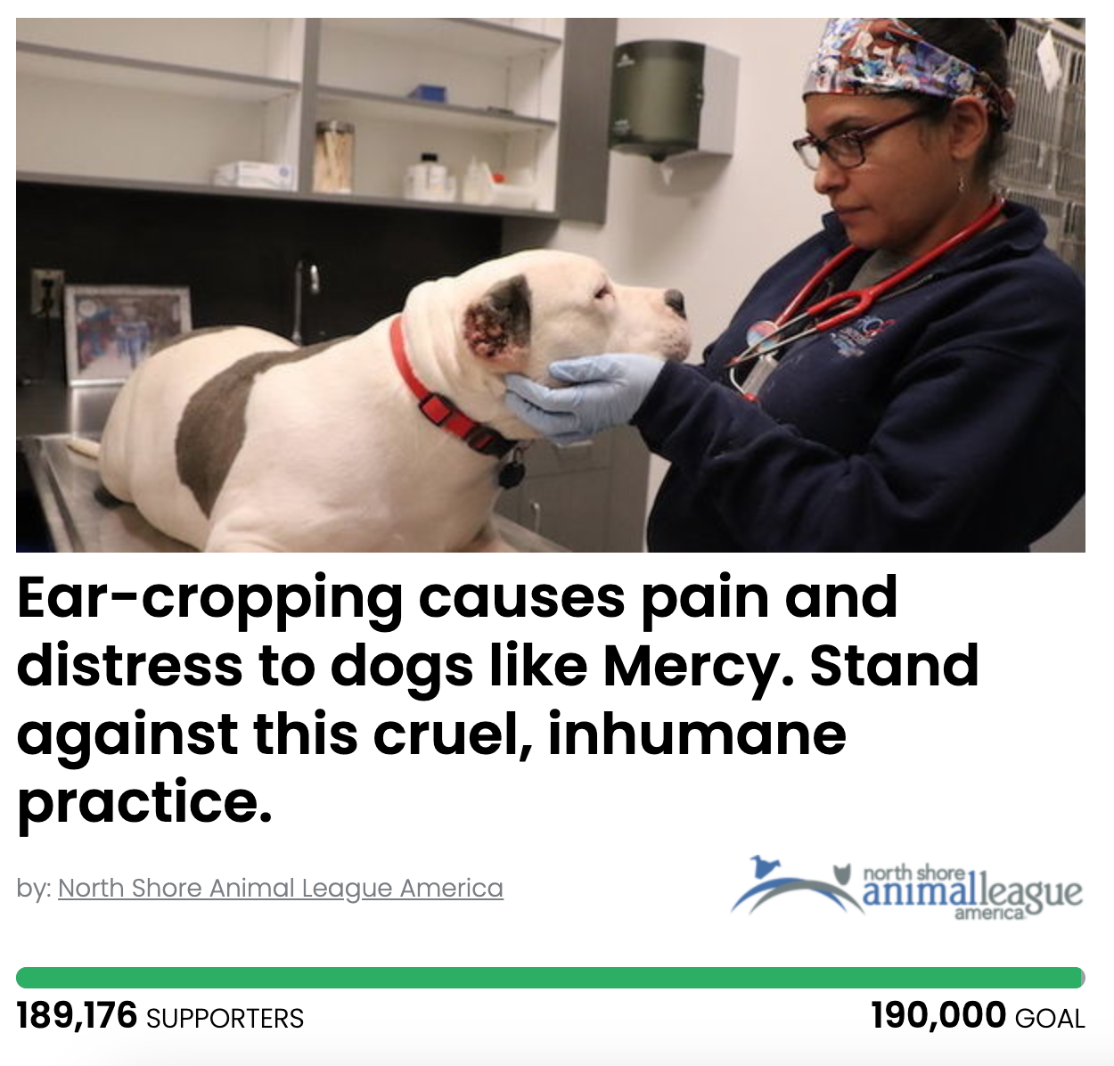 Animal Actions - Stop The Practice of Ear Cropping