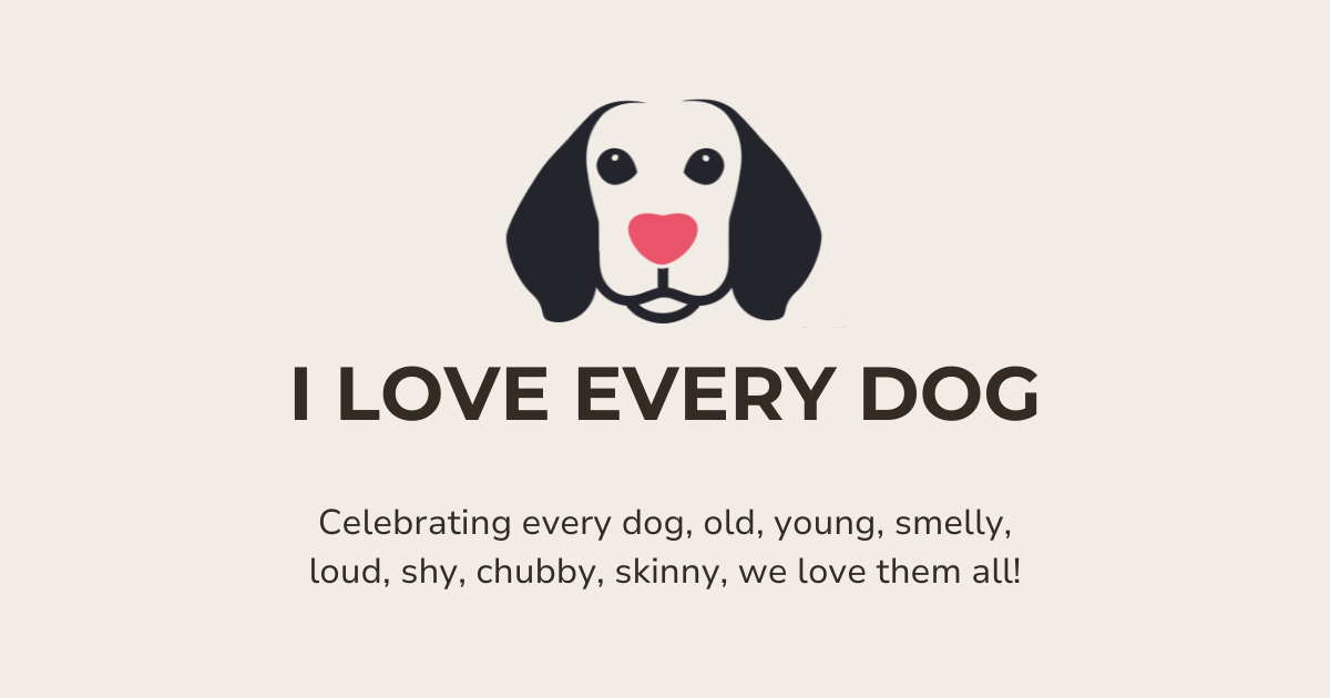 Meet Trix, our dog of the week ❤️ 🐶 ❤️