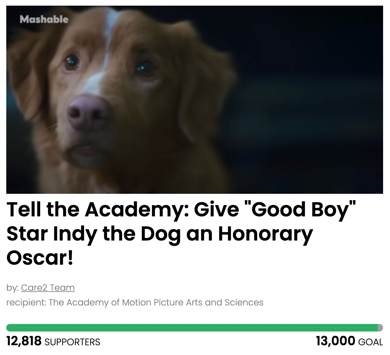 Animal Actions - Let's Get Indy the Dog an Honorary Oscar!