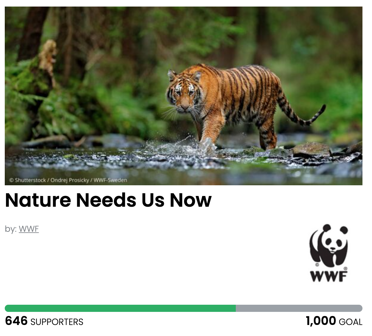 Animal Actions - Let's Protect Wildlife!