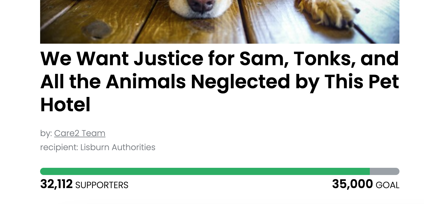 Animal Actions - Let's Hold This Pet Hotel Accountable