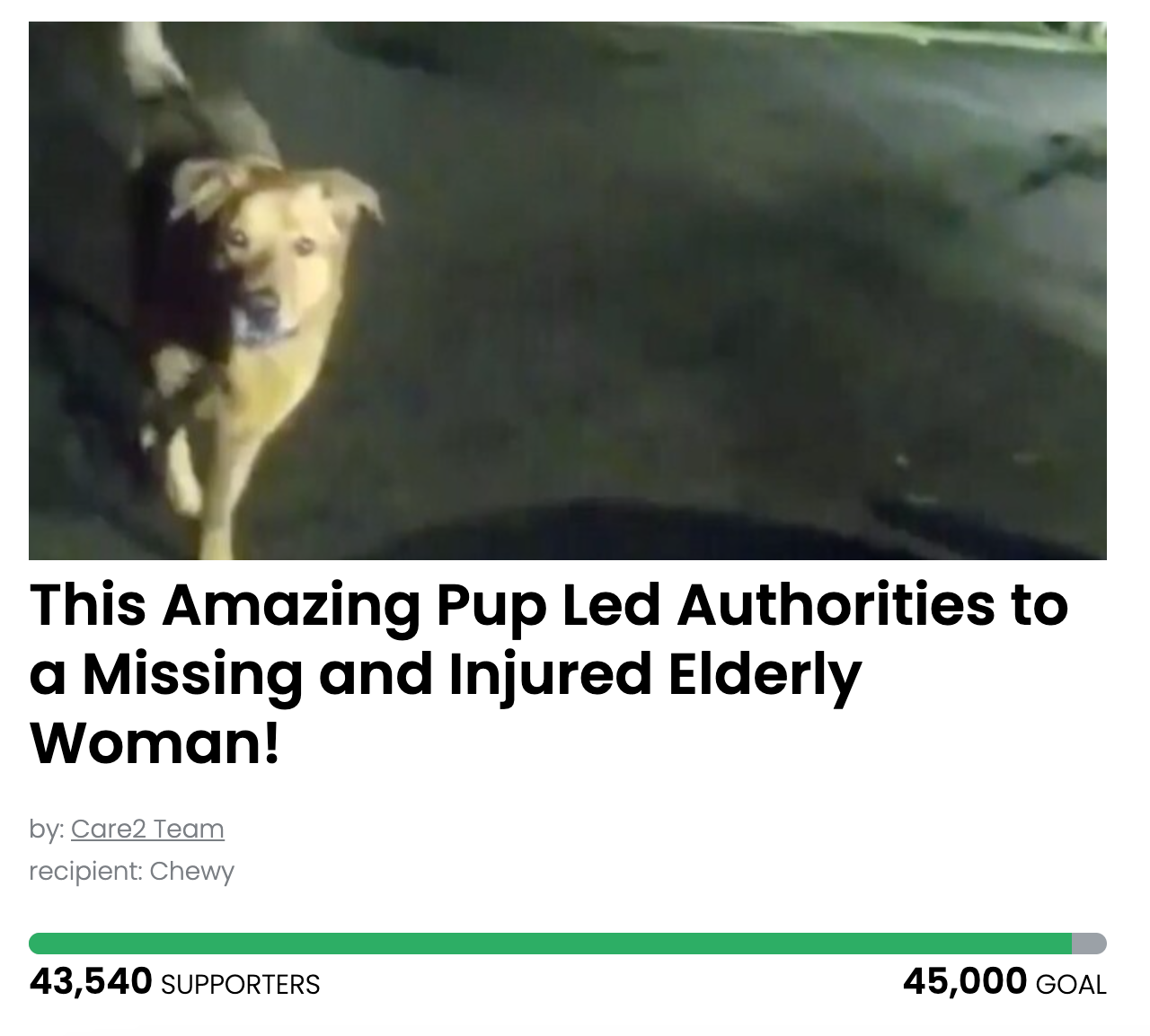 Animal Actions - Let's Celebrate This Hero Pup!