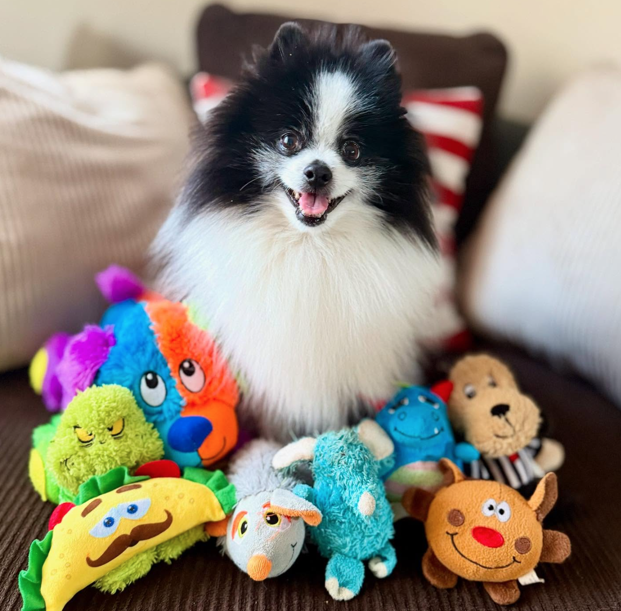 🐶❤️🐶 How to prevent dogs from choking 🐶❤️🐶