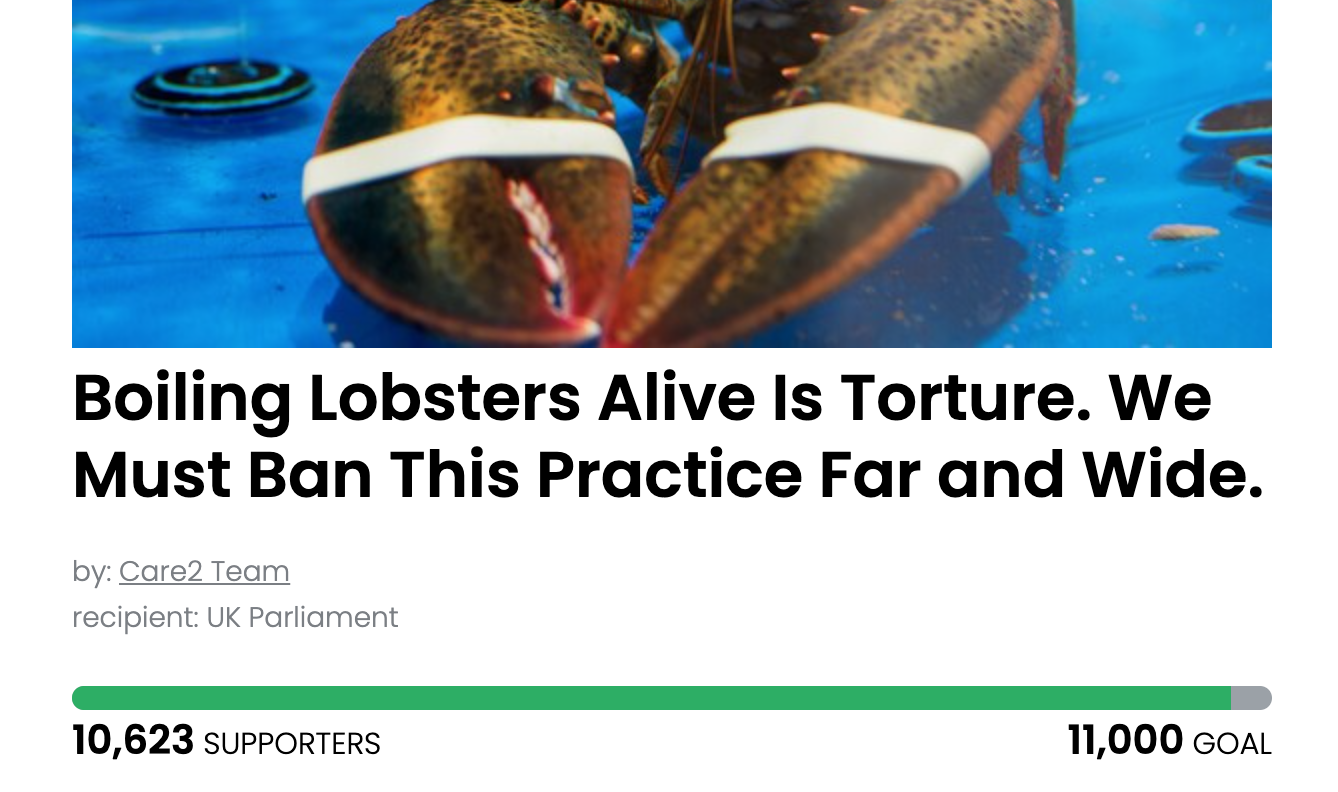 Animal Actions - Let's tell UK Parliament to outlaw boiling lobsters alive