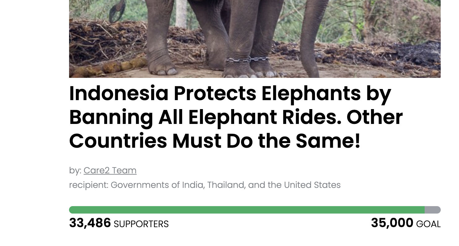 Animal Actions - Sign to Ban Elephant Riding