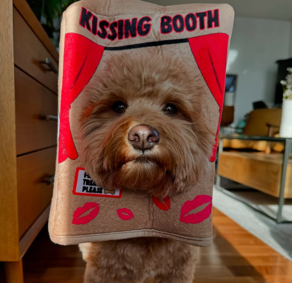 🐶❤️🐶 How can I tell if my dog is bored? 🐶❤️🐶  