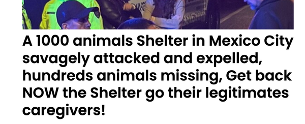 Animal Actions - Save Shelter Animals From Violence