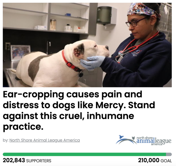 Animal Actions - Help Us Stop Ear Cropping