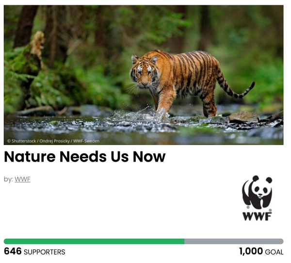 Animal Actions - Let's Protect Wildlife!