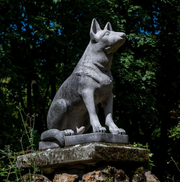 🐶❤️🐶 What is the life story of famous pup Rin Tin Tin? 🐶❤️🐶