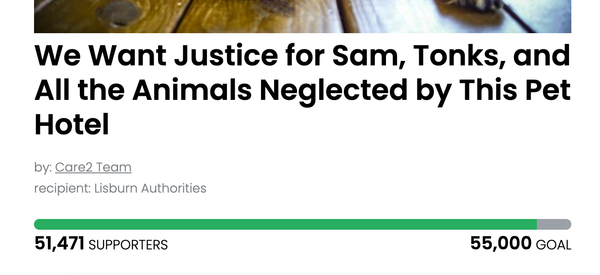 Animal Actions - Get justice for pets impacted by a neglectful pet hotel