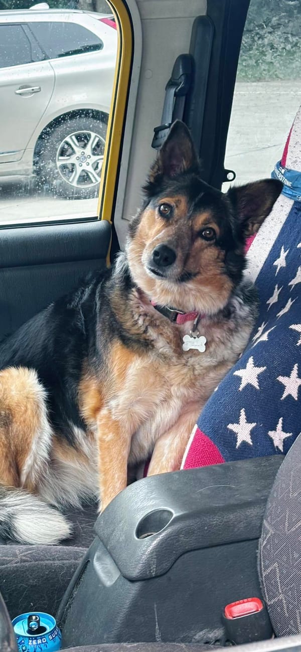 🐶❤️🐶 Preparing for the winter months 🐶❤️🐶 