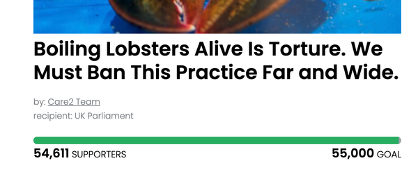 Animal Actions - Demand the end of live lobster boiling!