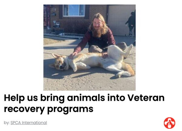 Animal Actions - Let's bring animals to veterans in recovery