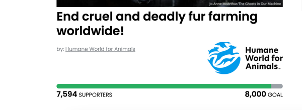 Animal Actions - Let's end fur farming around the world 