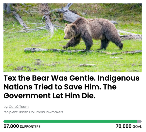 Animal Actions - Demand Transparency Around the Death of Tex