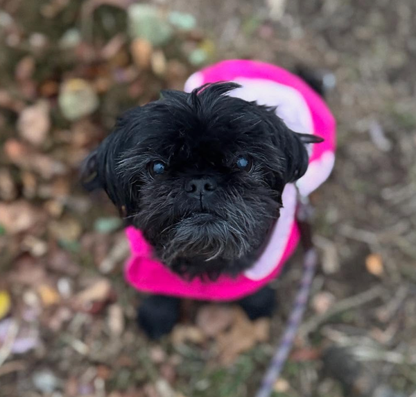 🐶❤️🐶 This lil' pup is so sweet! 🐶❤️🐶