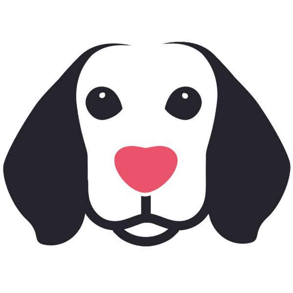 🐶❤️🐶 Why do dogs like sticking their heads out car windows? 🐶❤️🐶 